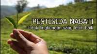 manfaat penggunaan pestisida alami atau nabati bagi tanaman